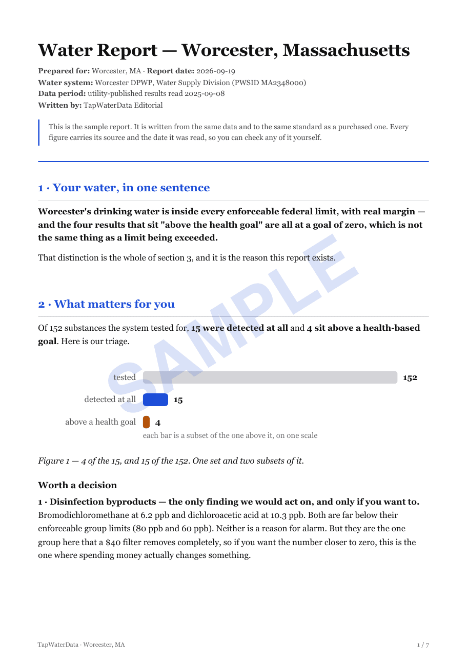Page 1 of the Worcester sample report: the one-sentence headline and the triage section.