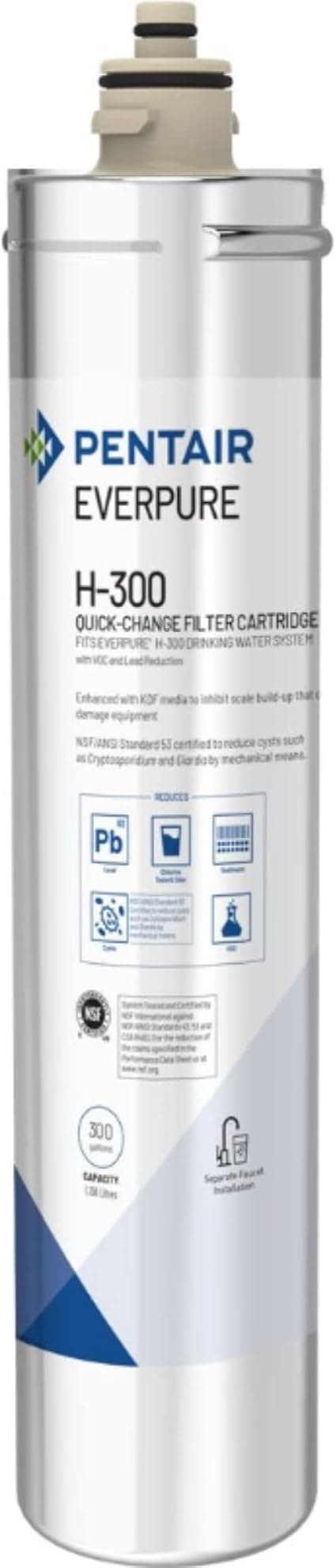 Everpure Residential H-300 Filter